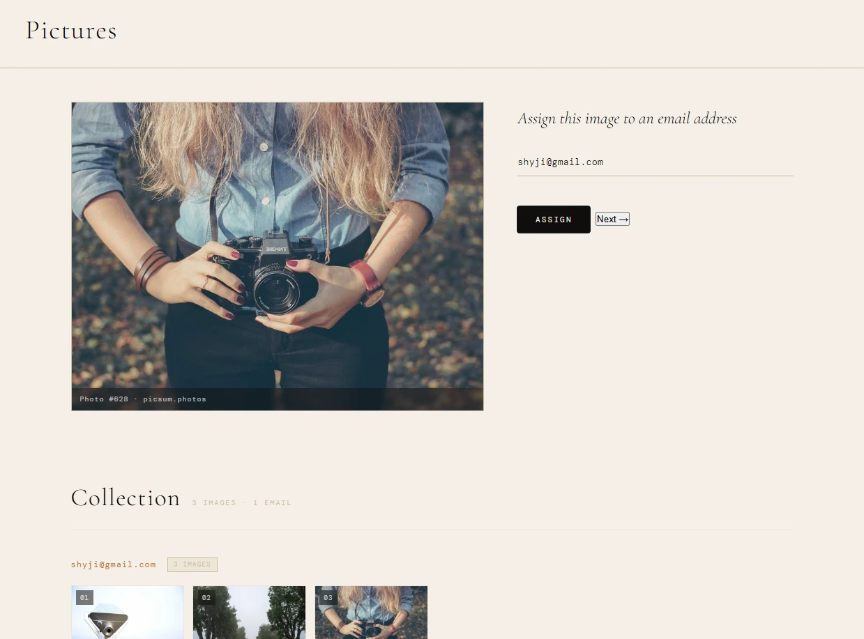 Random Picture Mapper